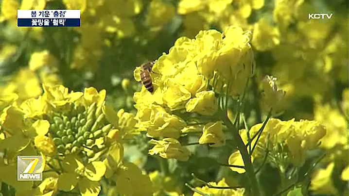 KCTV News7